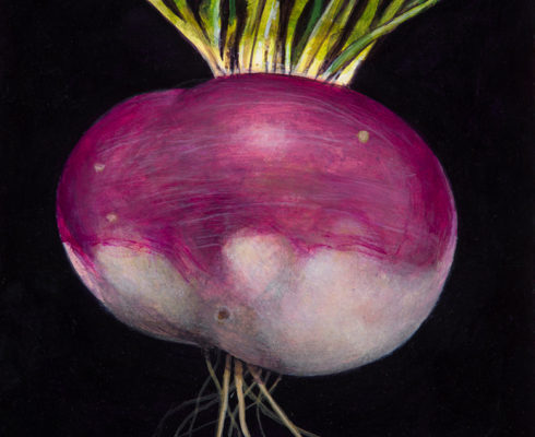 James Fairgrieve  Big Turnip  Acrylic On Gesso On Board 20 X 14 5 Cm