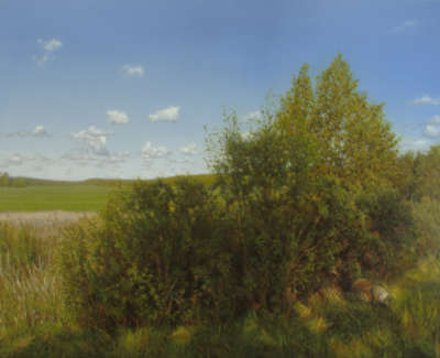 10 Landscape With Shadows Oil On Canvas 51X66Cm