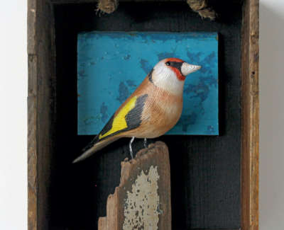 12 Goldfinch