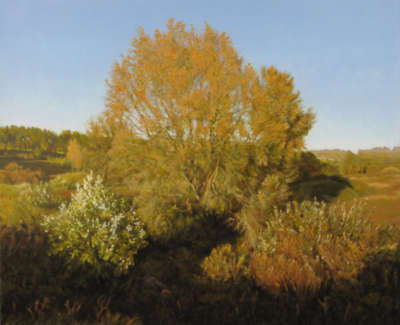 5 Trees Litovsk Oil On Canvas 51X61Cm