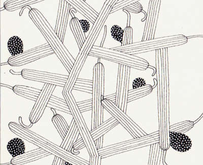 A Proliferation Of Cactus Limbs Pen On Paper 21 5 X 13Cm £195