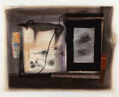 Ann Ross Rsw  Nature Table Mixed Media 51 X 66 Cm