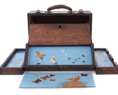 Birds Butterflies Dragonflies And Other Bugs  Oil On Panel In Wooden Tool Box 30 X 40 X 12 Cm £900 00 2