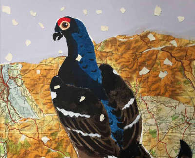 Cock Othe North Black Grouse Mixed Media And Collage 35 X 24 Cm £450