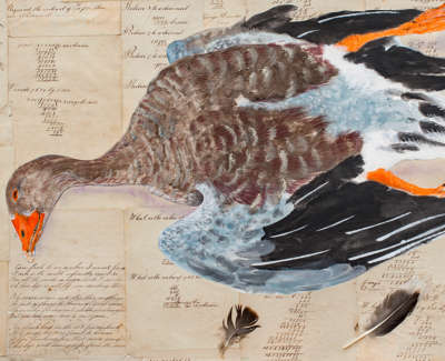 Greylag Goose Study Mixed Media And Collage 54 X 75 Cm £950
