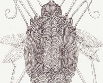 Decorative Clickbeetle Ink Wash And Technical Pen On Paper 21 5 X 13Cm £195