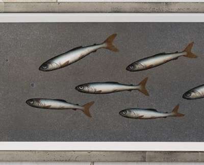 Eight Fish And Eight Blue Spots Oil On Panel 17 5X57Cm £1400