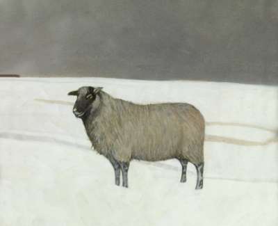 Fairgrieve 047 Winter Sheep