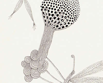 Fly Agaric Thief Technical Pen On Paper 21 5 X 13Cm £195