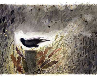 Hedgerow Visitor Watercolour 39 X 57 Cm For Web