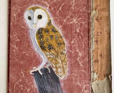 Moonlit Owl WEB