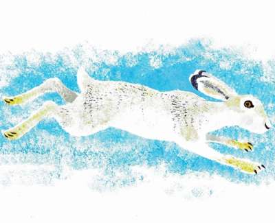 Mountain Hare On Snow Pochoir Stencil 28 X 41 Cm F £450