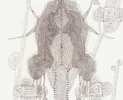 Oracle Beetle With Symbols Ink Wash And Technical Pen On Paper 21 5 X 13Cm £195