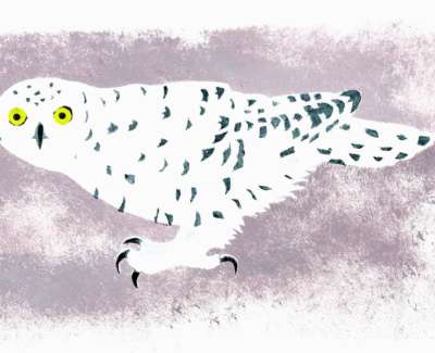 Snowy Owl Pochoir Stencil 32 X 43 Cm Uf £320