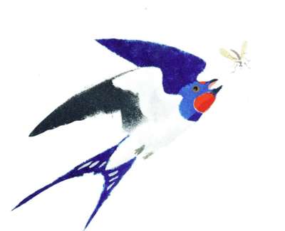 Swallow And Mosquito Pochoir Stencil 24 X 24 Cm F £320 Uf £275