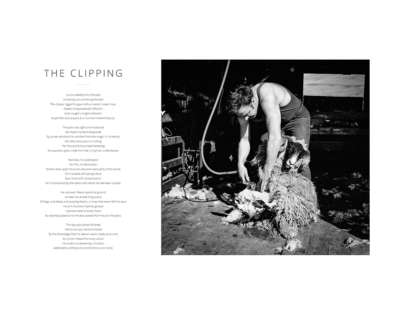 The Clipping