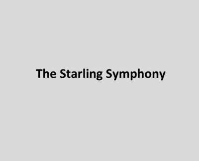 The Starling Symphony V2 Poem