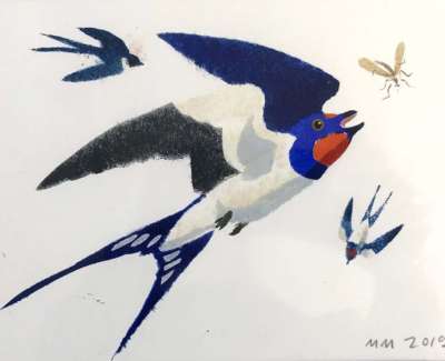Three Swallows And Mosquito Pochoir Stencil 18 X 26 Cm Uf £295