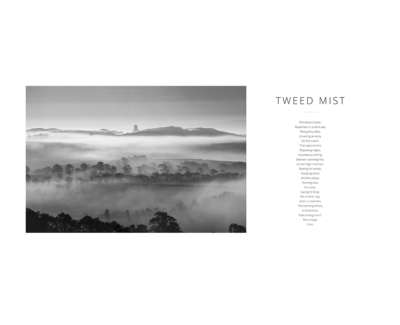 Tweed Mist